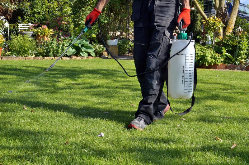 Lawn Vacuuming