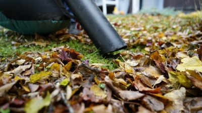Get Professional Lawn Vacuuming Today!